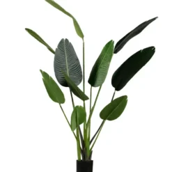 WOOOD Strelitzia Kunstplant - Groen - 96x164x63