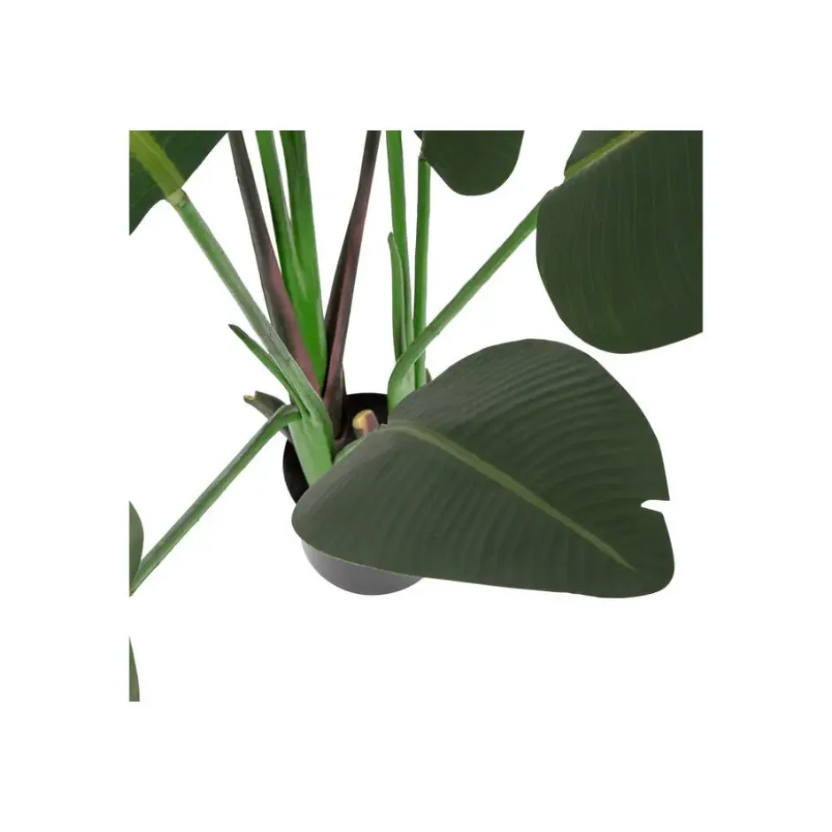 WOOOD Strelitzia Kunstplant - Groen - 96x164x63