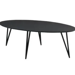 Zwart ovale eettafel Cesar 270x110 cm - Mangohout - Zwart