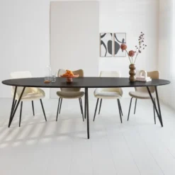 Zwart ovale eettafel Cesar 270x110 cm - Mangohout - Zwart