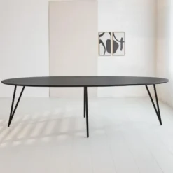 Zwart ovale eettafel Cesar 270x110 cm - Mangohout - Zwart